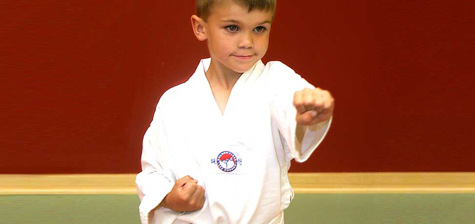 Karate/Martial Arts Training